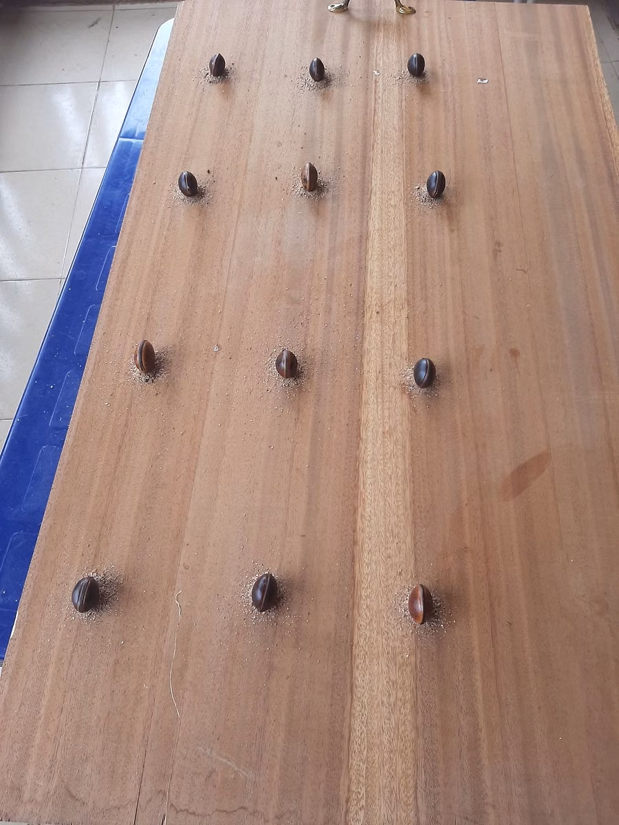 Akhue game championship,season 10 edition